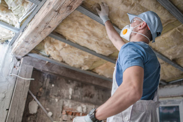 Best Insulation Contractors for Homes  in Nazareth, PA